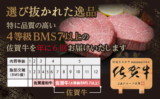 【定期便6回】佐賀牛 ヒレステーキ 340g×6回 偶数月発送 年6回 黒毛和牛 _g-11
