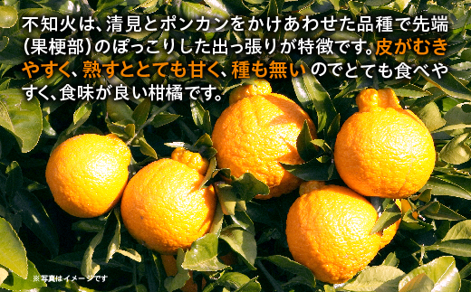 荳咲衍轣ォ 縺励i縺ャ縺 邏5kg _c-143