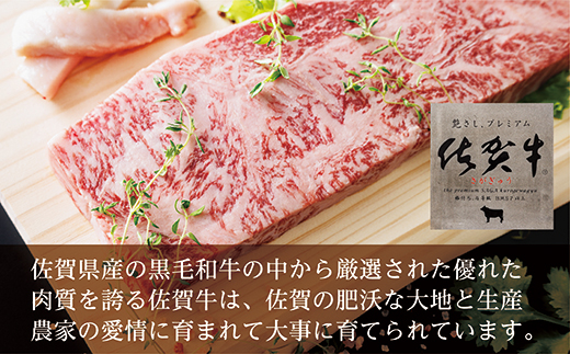 佐賀牛 サーロインステーキ（250g×3枚） _p-2