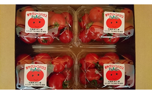 謗。繧後◆縺ヲ繝溘ョ繧」繝医槭ヨ 4kgシ500g テ 8繝代ャ繧ッシ _b-249