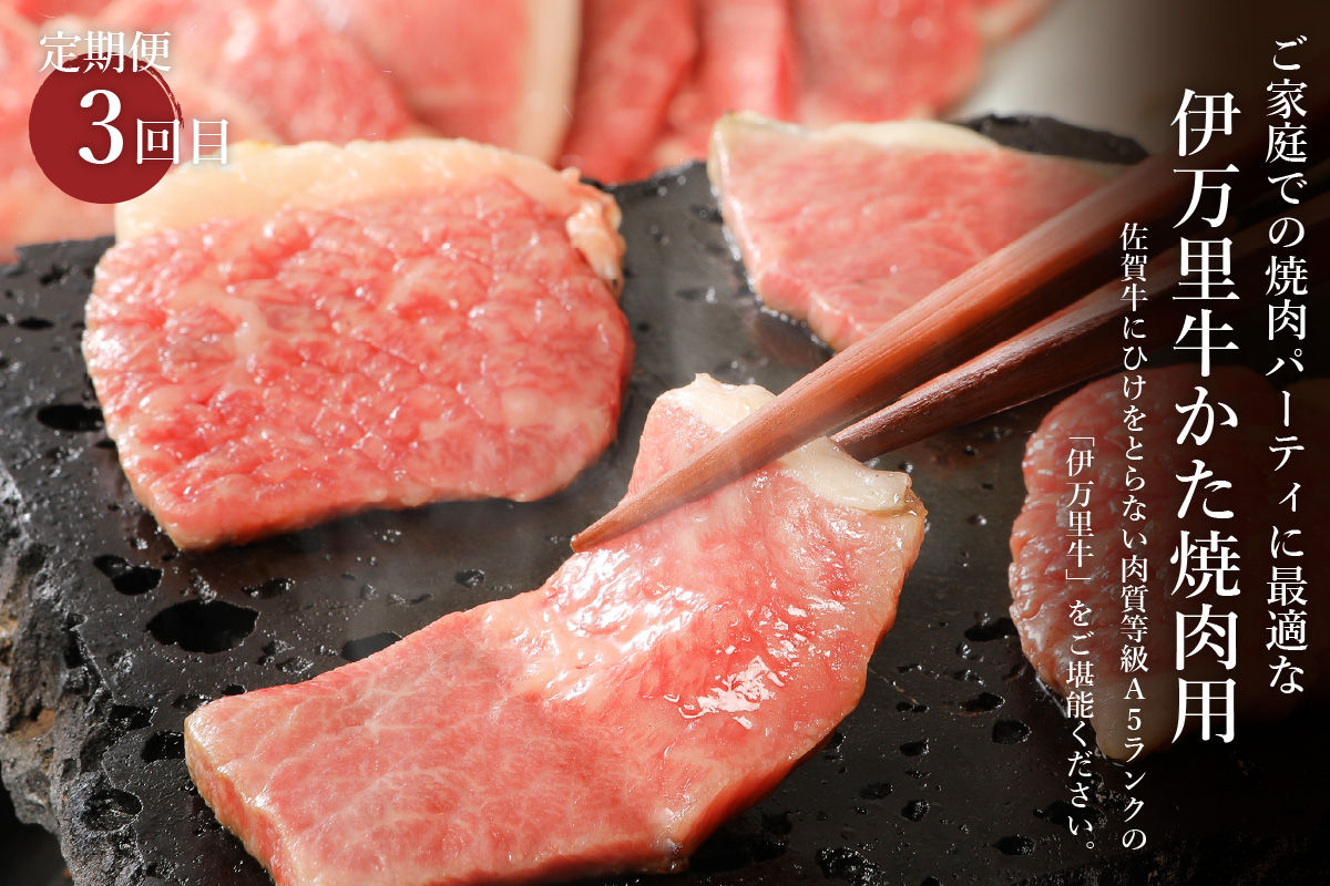 伊万里牛ファミリーコース 定期便 3回便 （すき焼き しゃぶしゃぶ ハンバーグ 焼肉） 999-J602