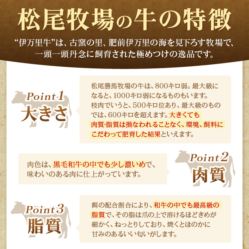 定期便 伊萬里牛バラエティーセット 3回便 999-J1757