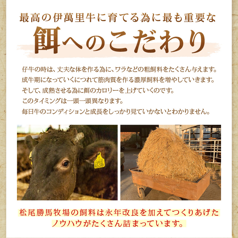 定期便 伊萬里牛バラエティーセット 3回便 999-J1757