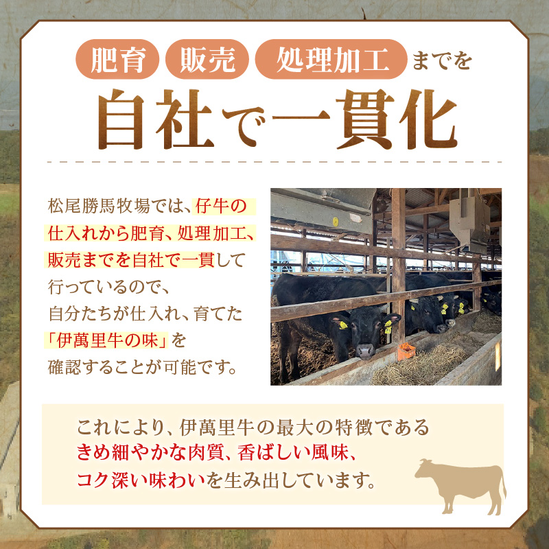 定期便 伊萬里牛バラエティーセット 3回便 999-J1757