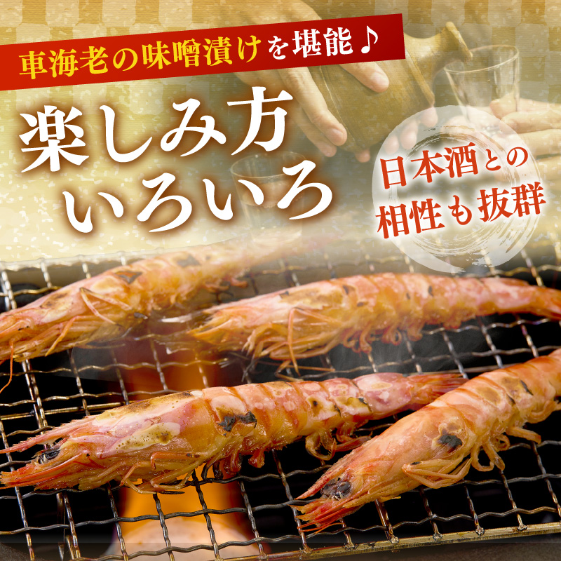 伊万里産 車海老みそ漬け 010-C045