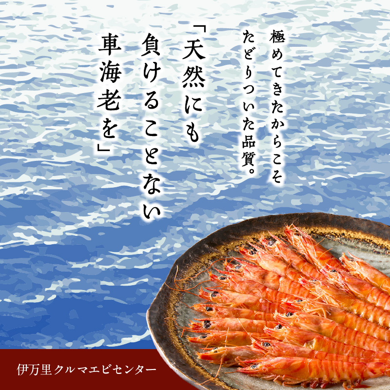 伊万里産 車海老みそ漬け 010-C045