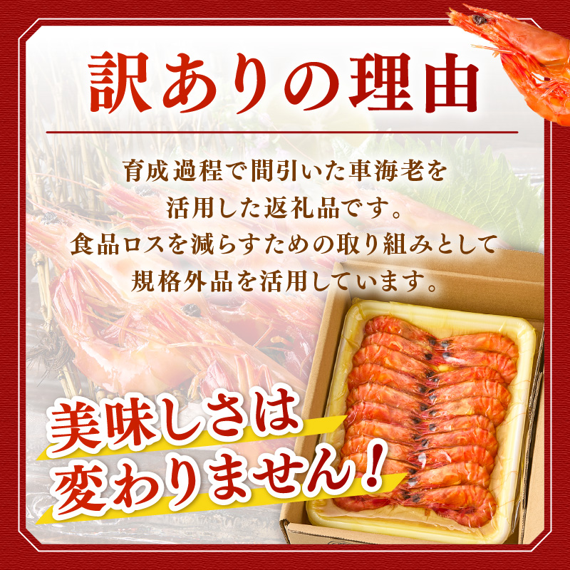 訳あり 夏海老のみそ漬け（食べやすいサイズ 車海老の味噌漬け） 010-C168