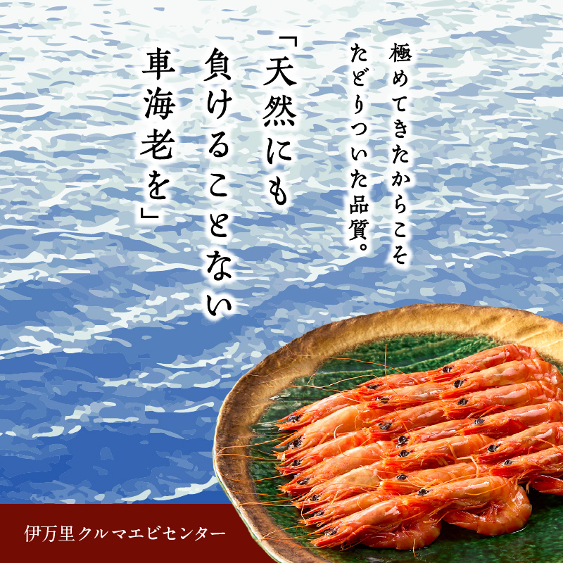 訳あり 夏海老のみそ漬け（食べやすいサイズ 車海老の味噌漬け） 010-C168