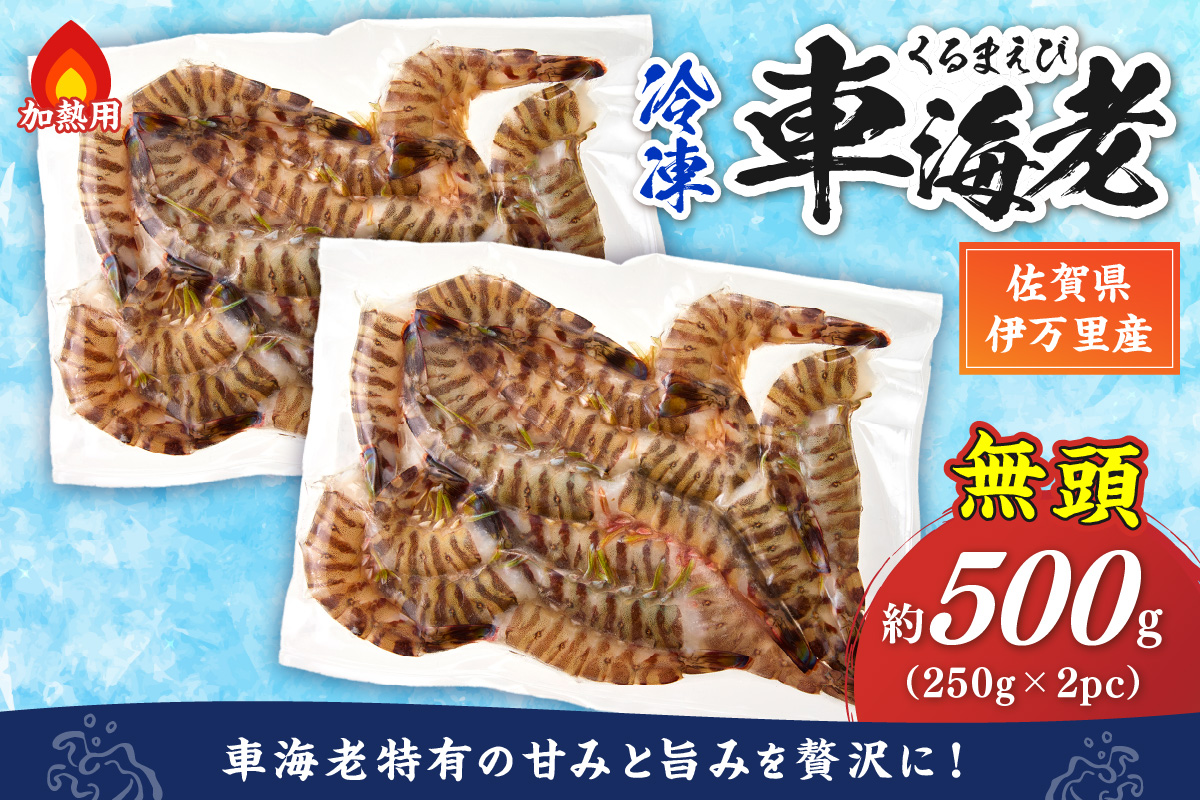 伊万里産 無頭 冷凍車海老（加熱用、250gx2pc） 010-C195