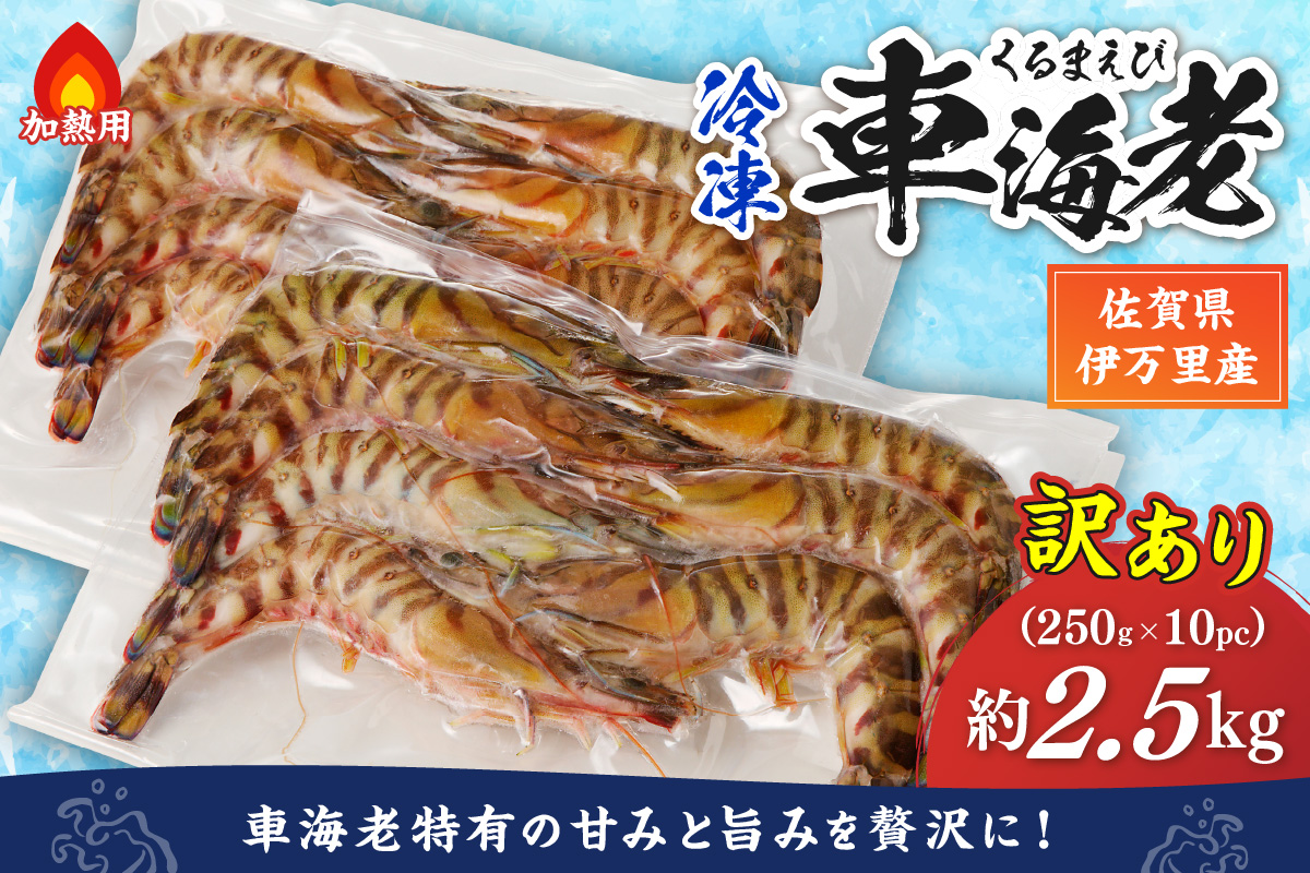 伊万里産 冷凍車海老（訳あり、加熱用） 2.5kg 010-C196
