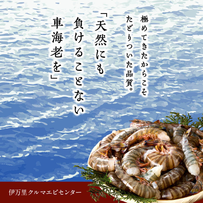 伊万里産 無頭 冷凍車海老（加熱用、250gx2pc） 010-C195