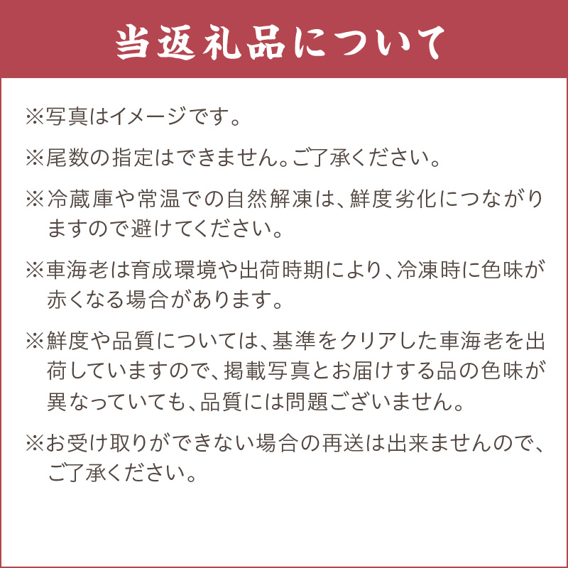 伊万里産 無頭 冷凍車海老（加熱用、250gx2pc） 010-C195