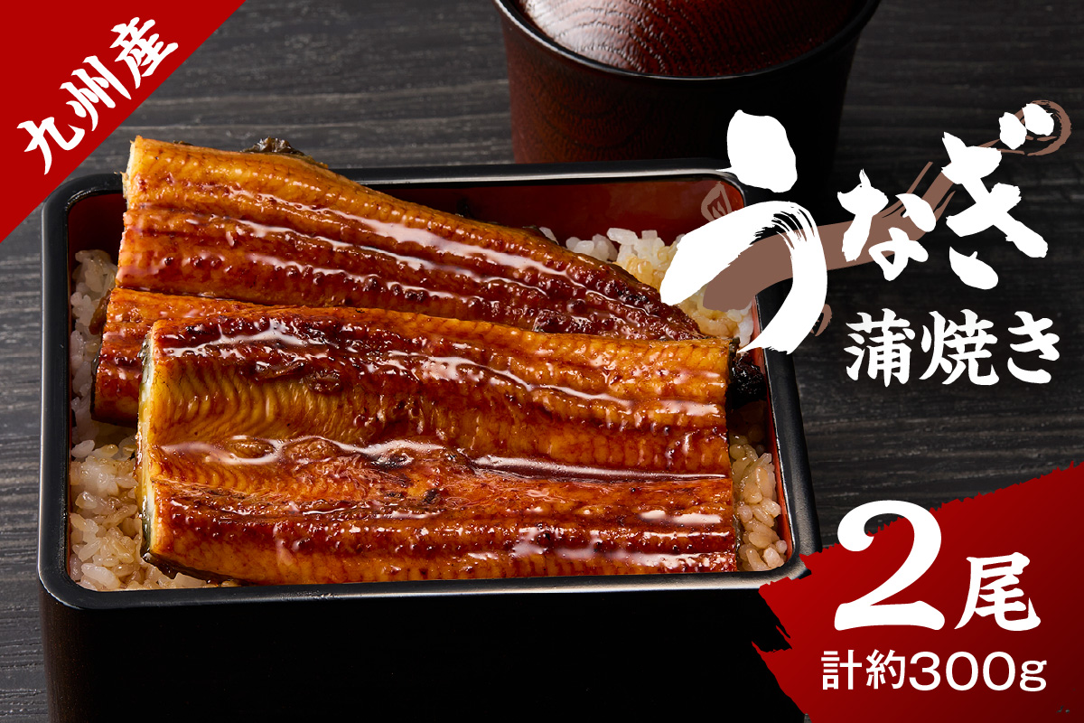 九州産うなぎ蒲焼 2匹（1匹150g以上） 015-C223