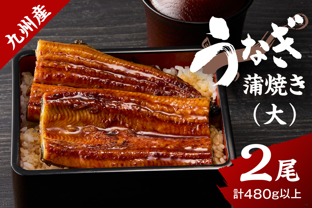 九州産うなぎ蒲焼 2匹（1匹240g以上） 015-C224