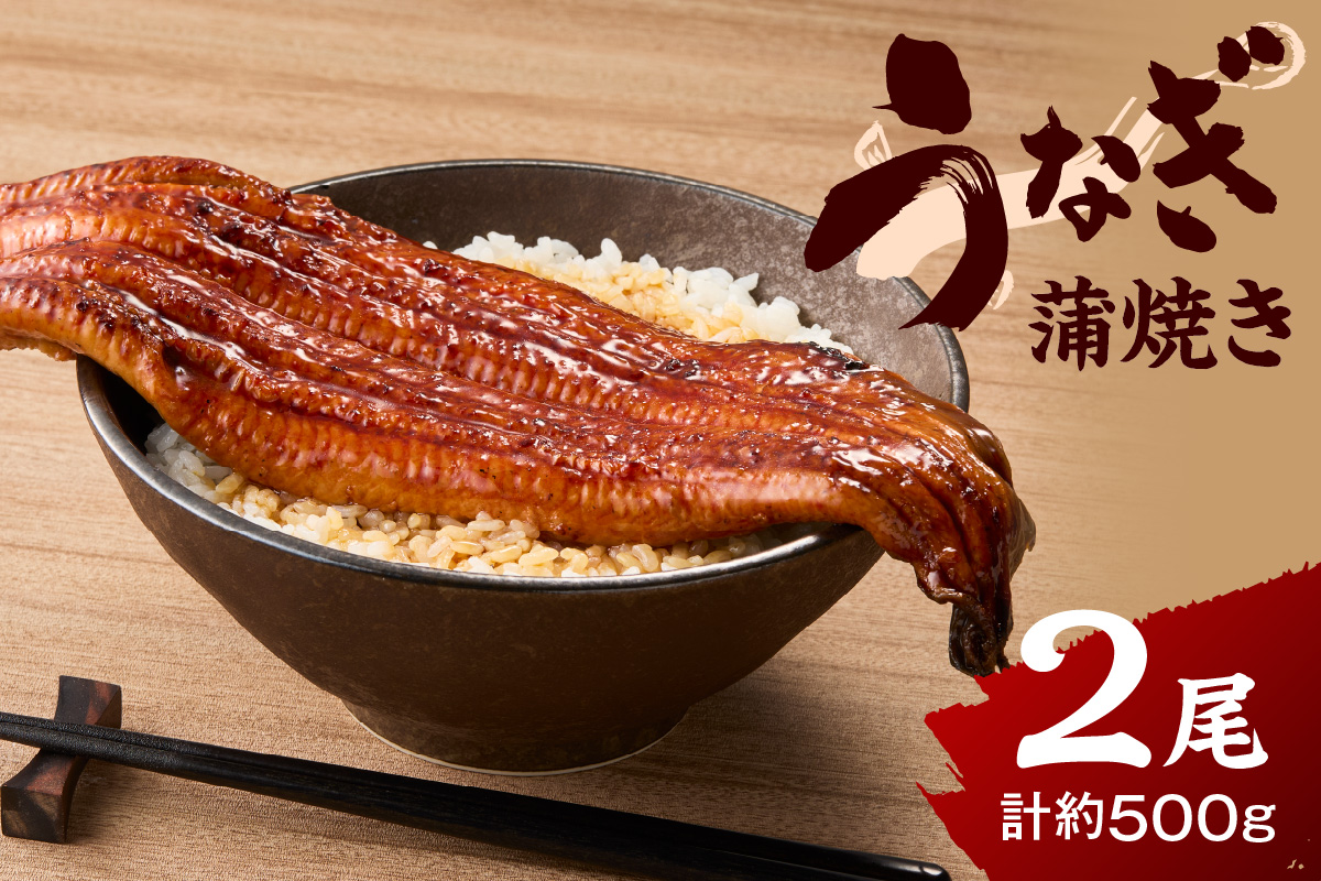 国内仕上げのごちそううなぎ蒲焼（中国産）2匹（1匹240g以上） 015-C225