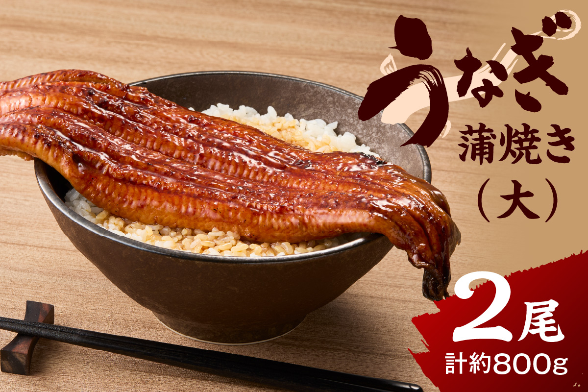国内仕上げのごちそう肉厚うなぎ蒲焼（中国産） 2匹（1匹410g以上） 015-C226