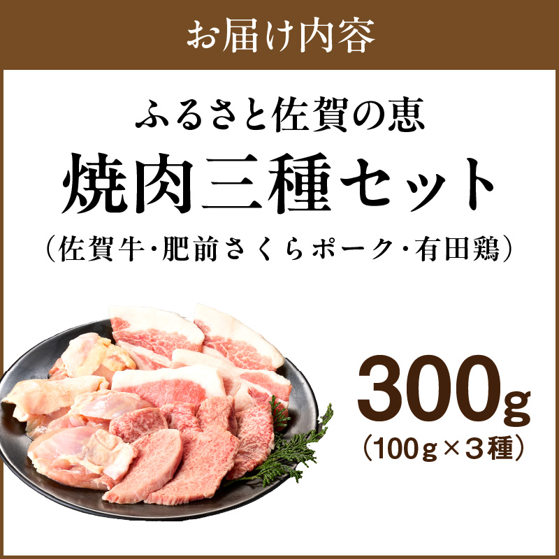 佐賀の恵み 三種焼肉セット（佐賀牛・有田鶏・肥前さくらポーク） 015-J1627