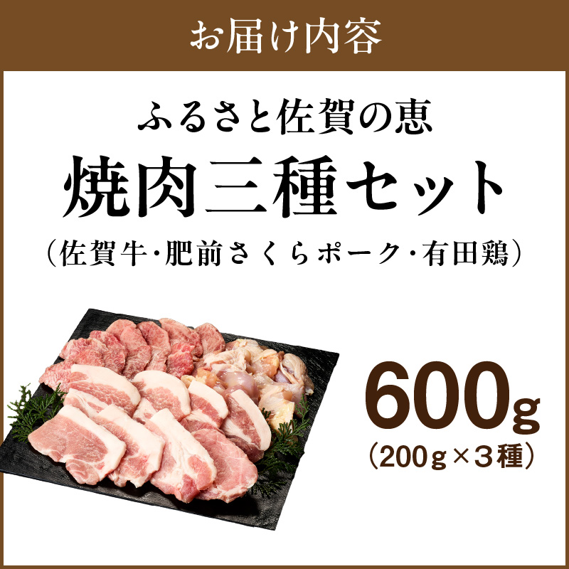 佐賀の恵み 三種焼肉セット（佐賀牛・有田鶏・肥前さくらポーク）×2セット 015-J1628