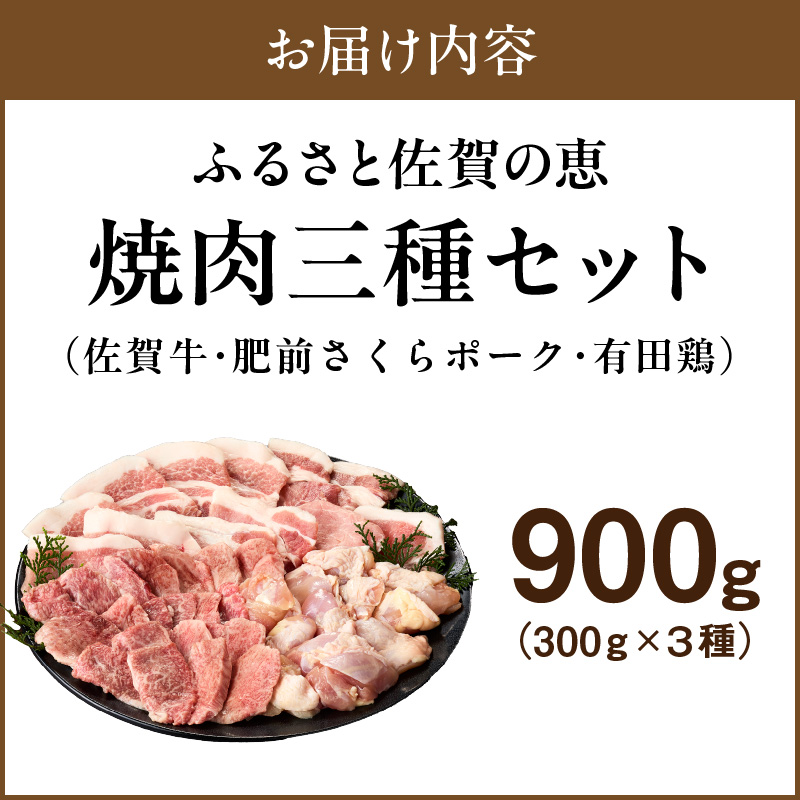 佐賀の恵み 三種焼肉セット（佐賀牛・有田鶏・肥前さくらポーク）×3セット 015-J1629