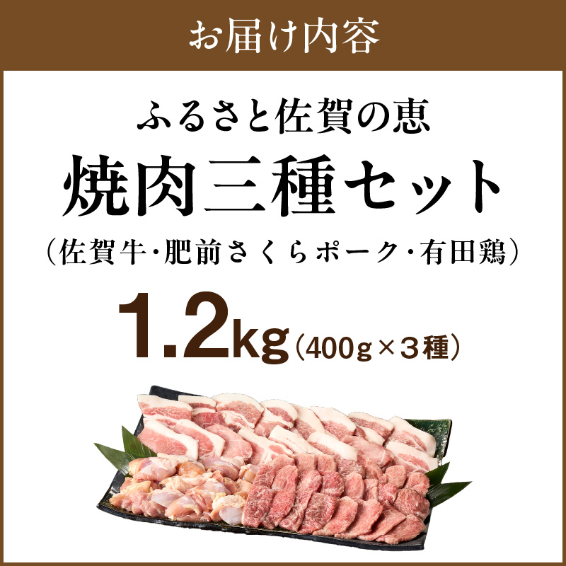 佐賀の恵み 三種焼肉セット（佐賀牛・有田鶏・肥前さくらポーク）×4セット 015-J1630