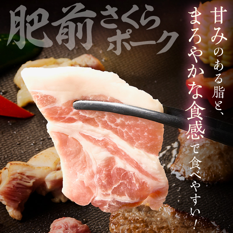 佐賀の恵み 三種焼肉セット（佐賀牛・有田鶏・肥前さくらポーク）×2セット 015-J1628