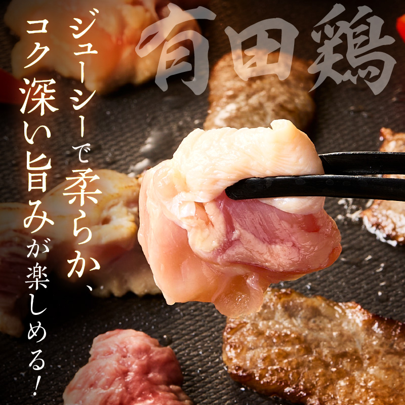 佐賀の恵み 三種焼肉セット（佐賀牛・有田鶏・肥前さくらポーク）×2セット 015-J1628