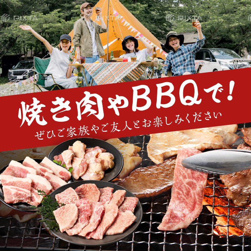 佐賀の恵み 三種焼肉セット（佐賀牛・有田鶏・肥前さくらポーク）×2セット 015-J1628