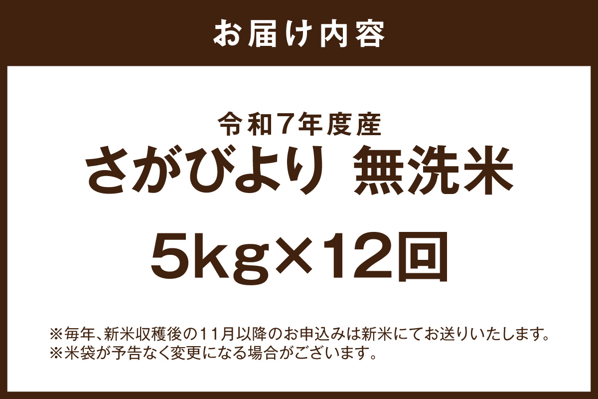 令和7年産 【定期便】《無洗米》さがびより 5kg×12回 999-B910