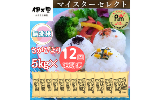 【定期便】《無洗米》さがびより５kg×１２回 B556