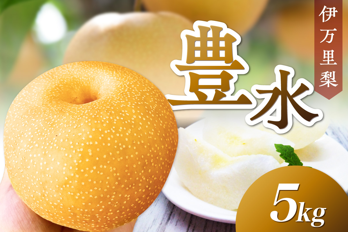 伊万里梨 豊水5kg (8～14玉) 113-B1075