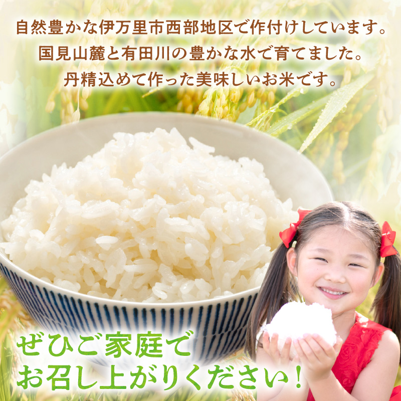 ãå®æäŸ¿ãäŒäžéç£ç±³ ããããã çœç±³5kgïœ3å 999-B885