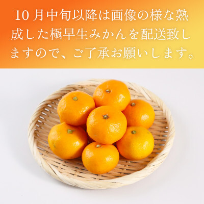 極早生みかん 約10kg 114-B1005