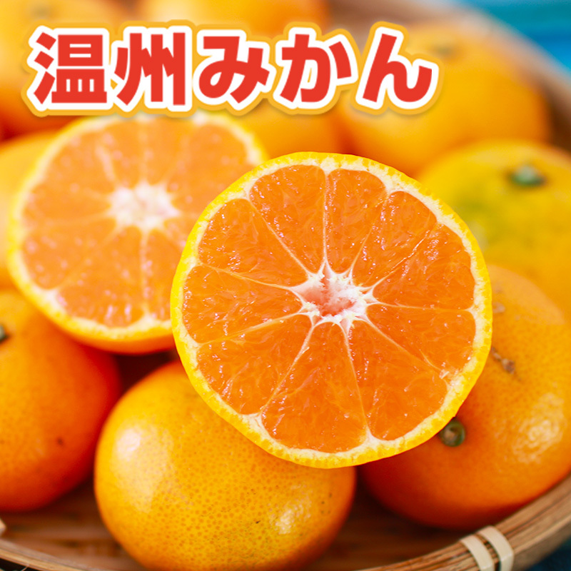 温州みかん 約5kg 114-B1007