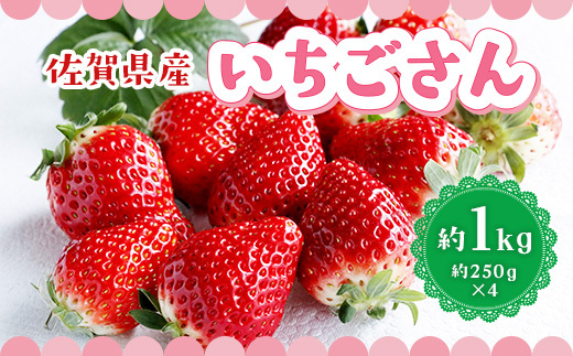 佐賀県産 いちごさん 合計約1kg 250g×4パック 苺 いちご イチゴ 114-B1014