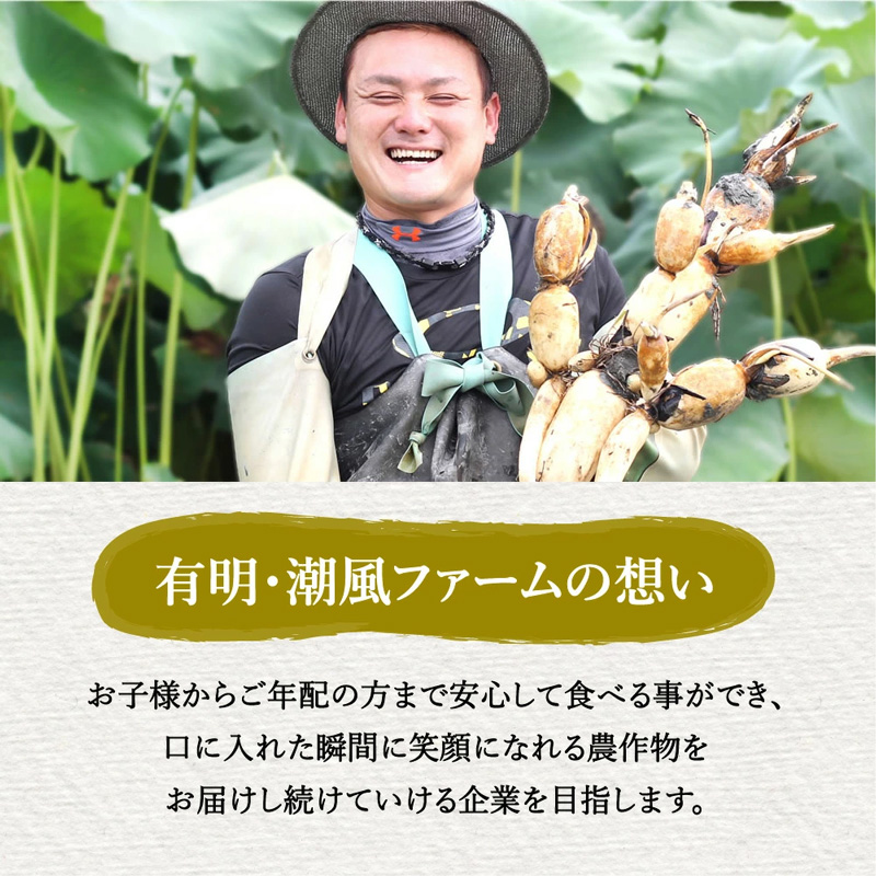 äœè³çç£ è±è è¥åãããããŒã¯ è±ããŒã«ã¹ããŒã 80gÃ12å 180-L046