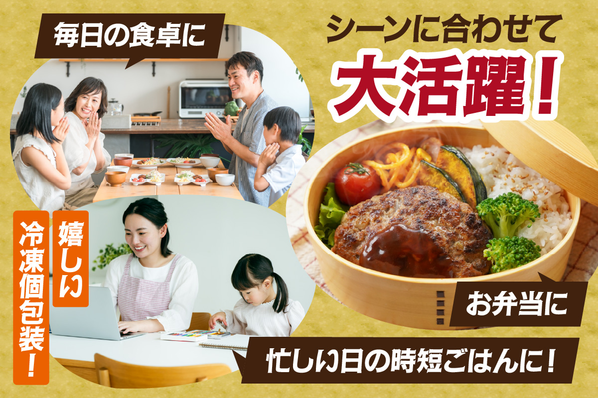 佐賀牛入り 熟成 ハンバーグ 約120g×20個 179-J1885