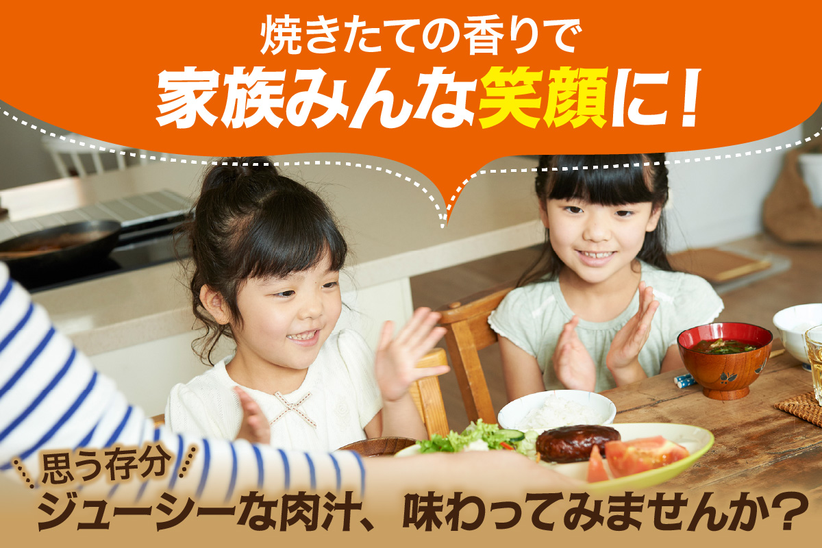 佐賀牛入り 熟成 ハンバーグ 約120g×20個 179-J1885