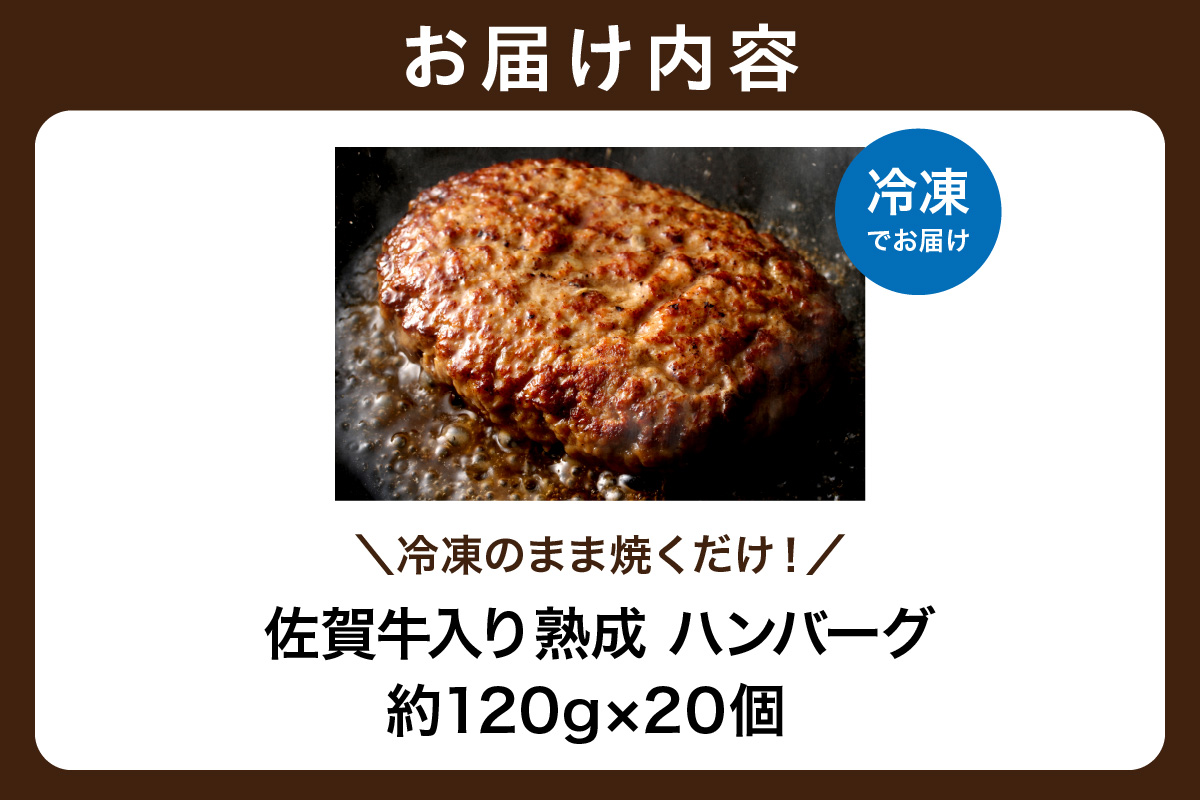佐賀牛入り 熟成 ハンバーグ 約120g×20個 179-J1885