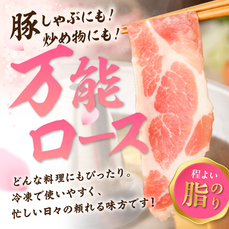 菴占ウ逵檎肇 雎夊i 閧・蜑阪&縺上i繝昴シ繧ッ 繝ュ繝シ繧ケ繧ケ繝ゥ繧、繧ケ 邏1.3kg 180-L043