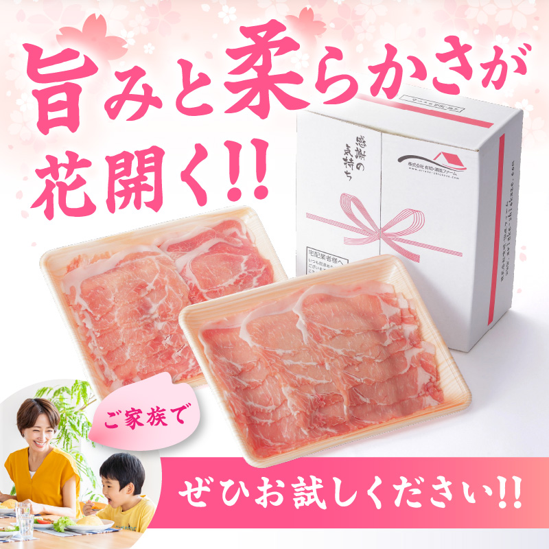 菴占ウ逵檎肇 雎夊i 閧・蜑阪&縺上i繝昴シ繧ッ 繝ュ繝シ繧ケ繧ケ繝ゥ繧、繧ケ 邏1.3kg 180-L043