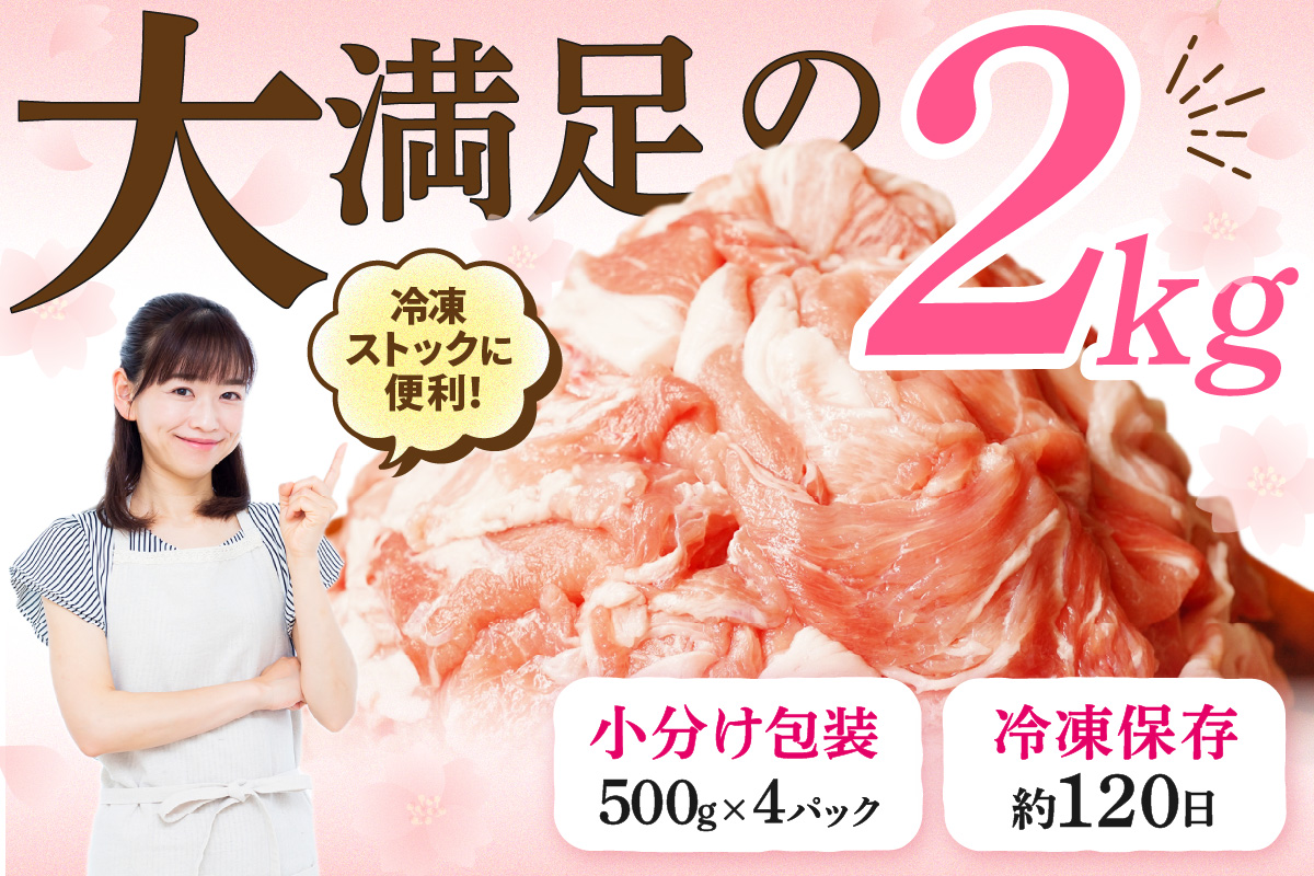 菴占ウ逵檎肇 雎夊i 閧・蜑阪&縺上i繝昴シ繧ッ繝「繝「蛻關ス縺2kg 125-L037