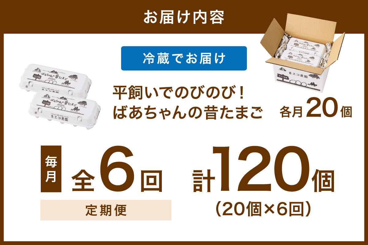 ã6åå®æäŸ¿ã平飌ãã§ ã®ã³ã®ã³ïŒã°ãã¡ããã®æããŸã 20å/æ å²ãä¿èšŒãã 999-B616