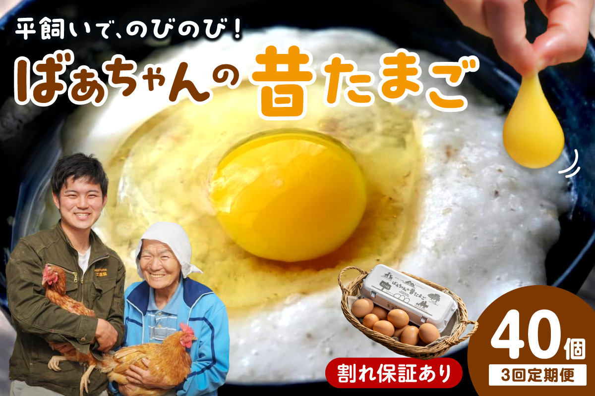 ã3åå®æäŸ¿ã平飌ãã§ ã®ã³ã®ã³ïŒã°ãã¡ããã®æããŸã 40å/æ å²ãä¿èšŒãã 999-B618