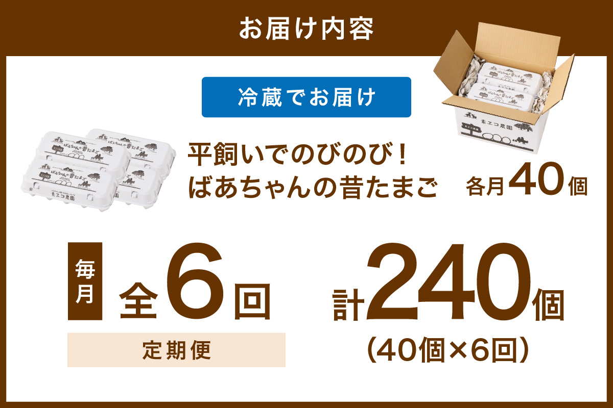 ã6åå®æäŸ¿ã平飌ãã§ ã®ã³ã®ã³ïŒã°ãã¡ããã®æããŸã 40å/æ å²ãä¿èšŒãã 999-B619