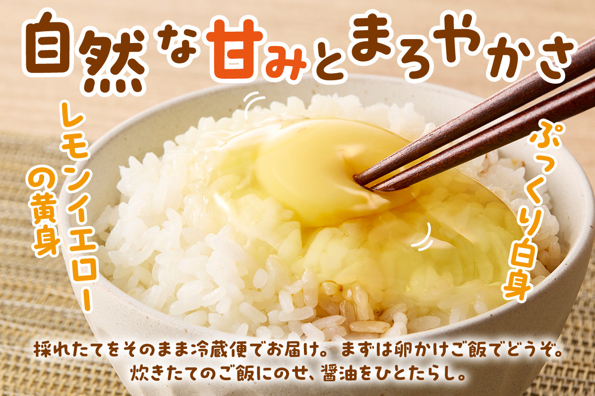 ã3åå®æäŸ¿ã平飌ãã§ ã®ã³ã®ã³ïŒã°ãã¡ããã®æããŸã 40å/æ å²ãä¿èšŒãã 999-B618