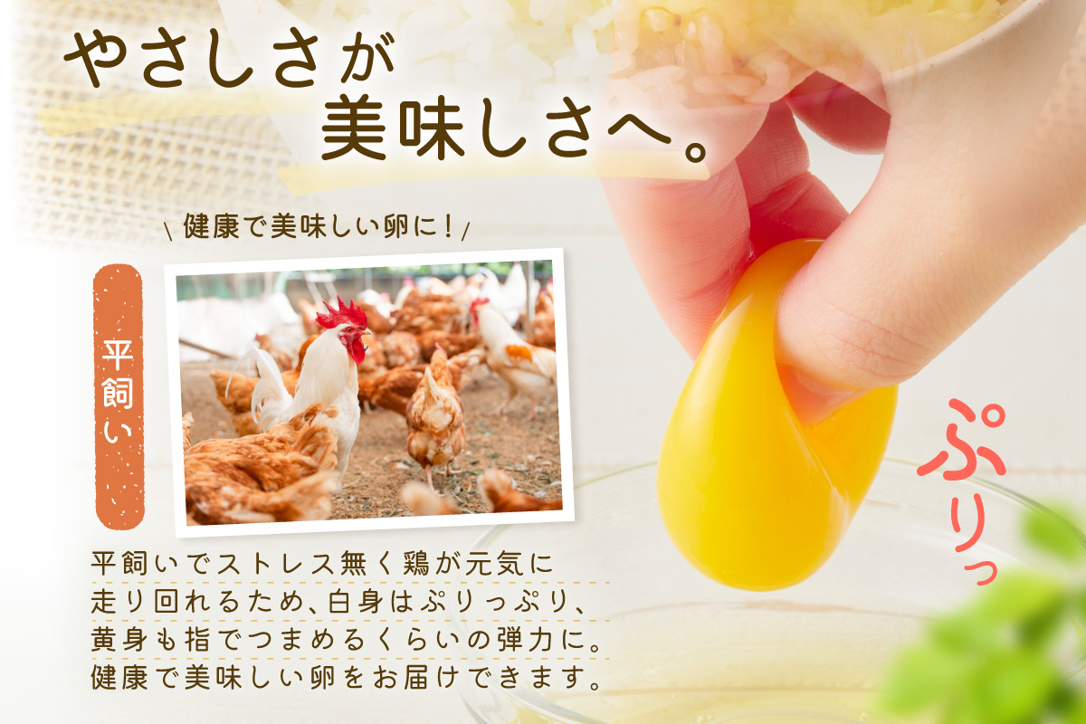 平飼いで のびのび養鶏！ばあちゃんの昔たまご（計60個）平飼い卵 割れ保証あり 129-B613