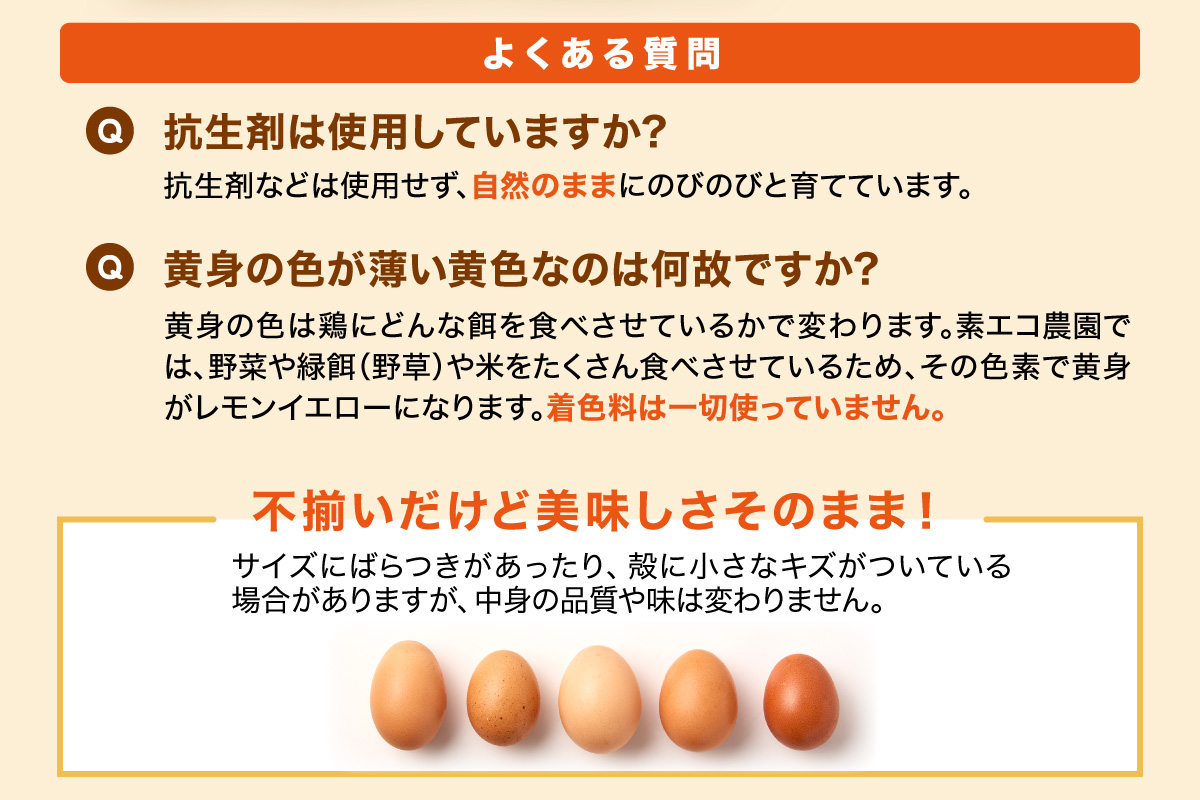 ã3åå®æäŸ¿ã平飌ãã§ ã®ã³ã®ã³ïŒã°ãã¡ããã®æããŸã 40å/æ å²ãä¿èšŒãã 999-B618