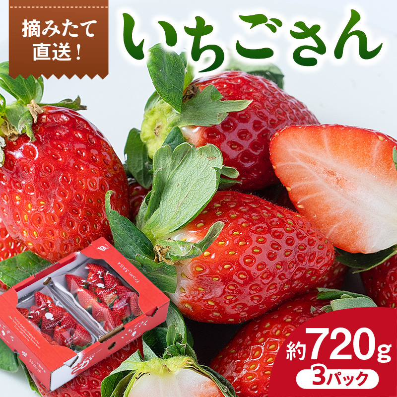 佐賀産 いちごさん 3パック 147-B810