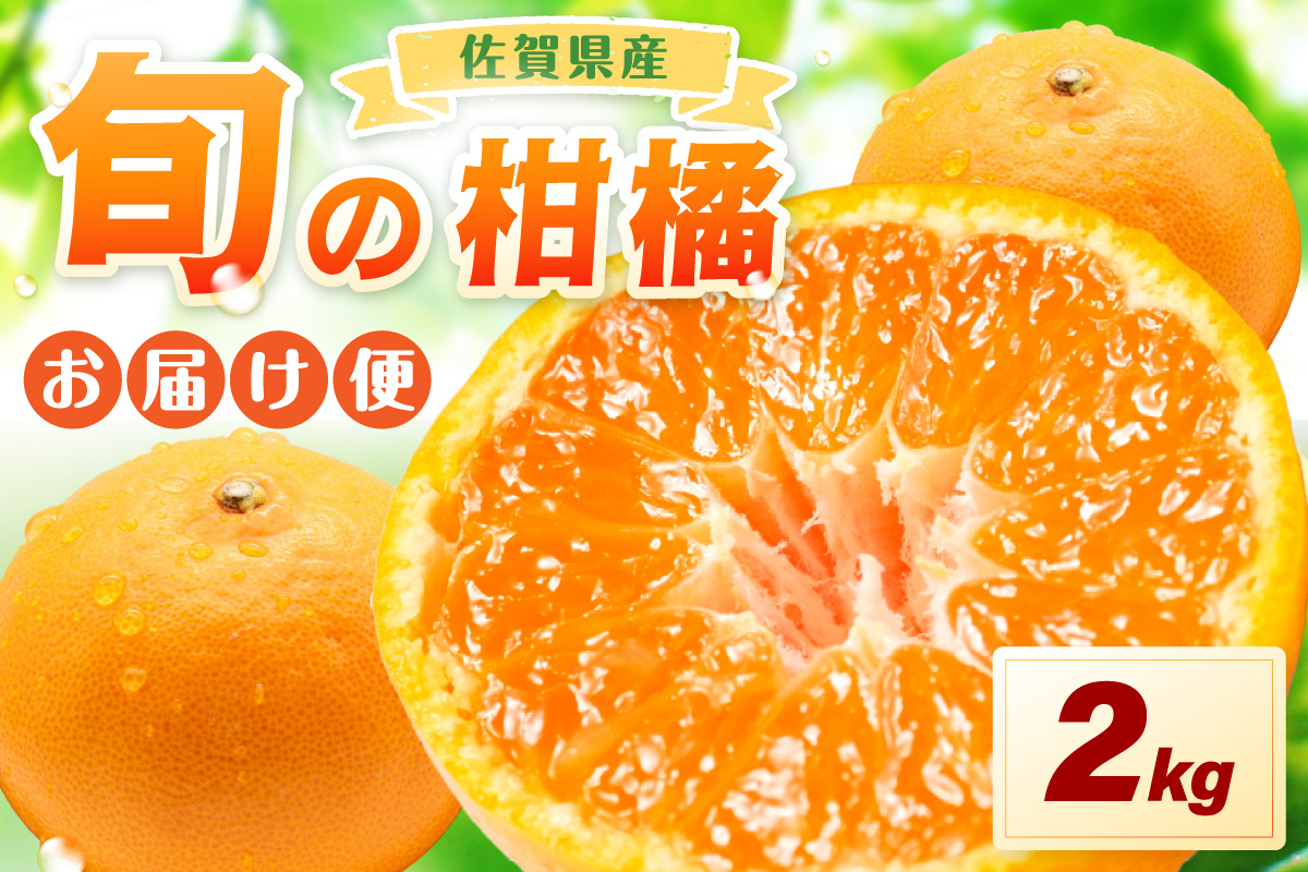 佐賀の旬の柑橘をお届け 佐賀産かんきつ2kg 147-B396