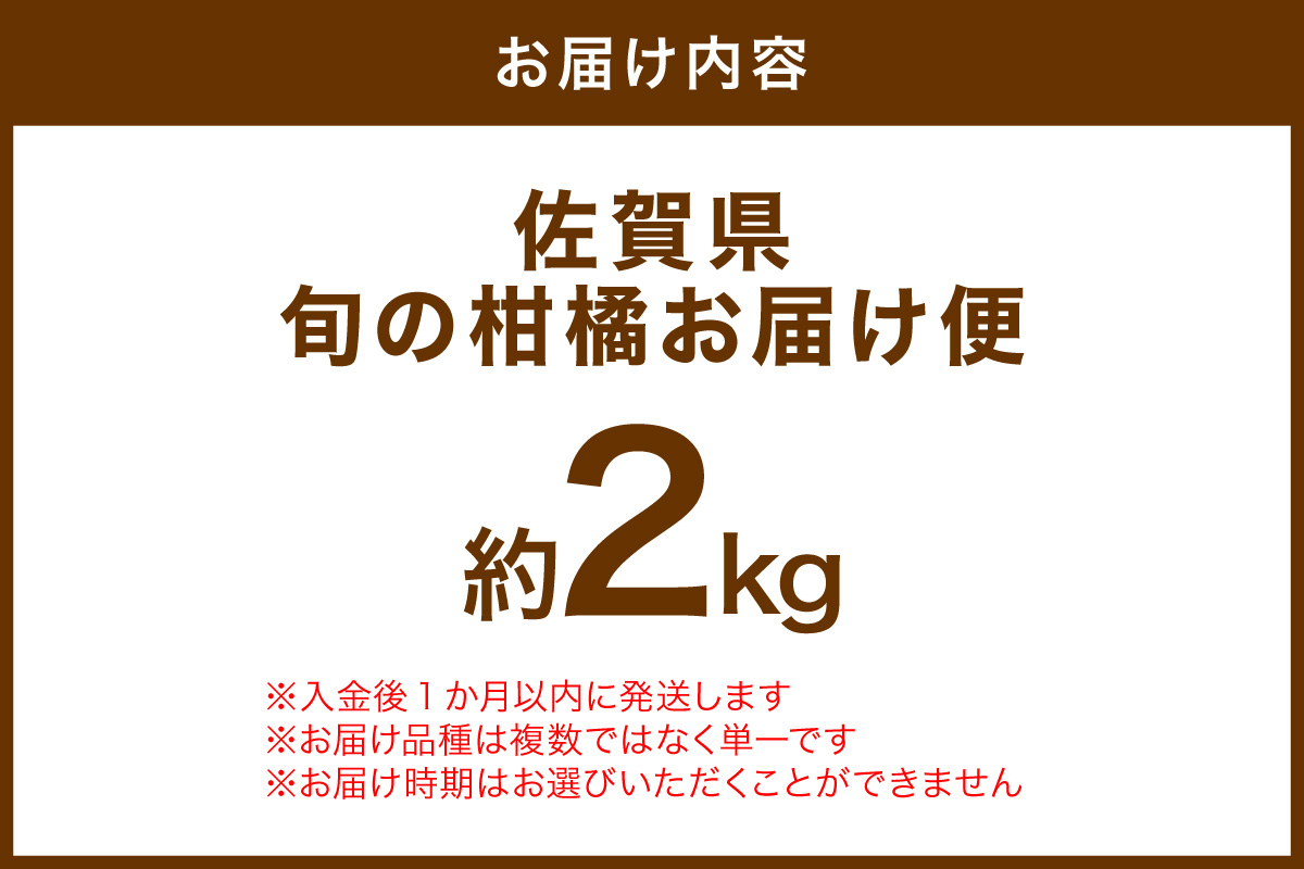佐賀の旬の柑橘をお届け 佐賀産かんきつ2kg 147-B396